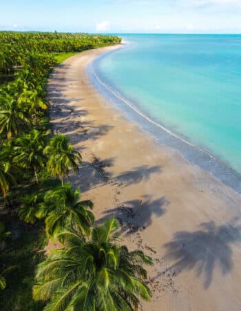 Praia de Ipioca em Maceió/ Foto: Wikimedia Commons