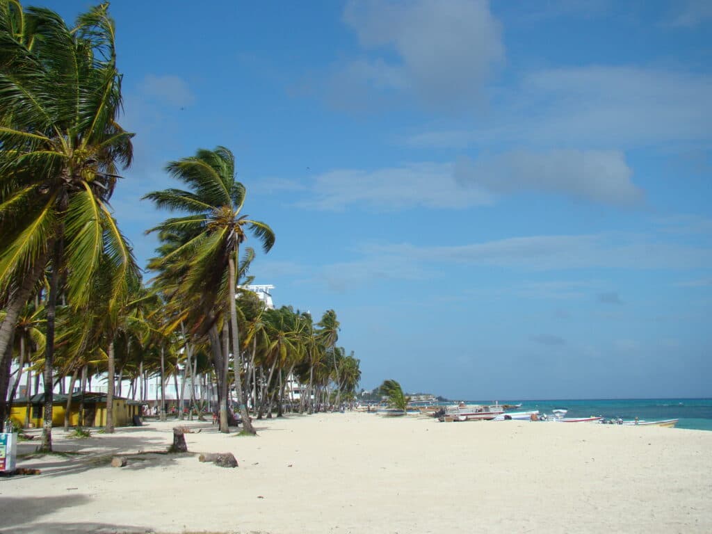 San Andres na Colombia, com coqueiros na areia da praia