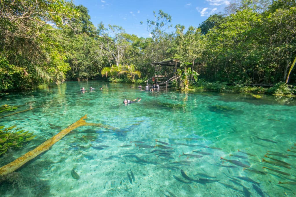 Ecotourism: Three Reasons Why Bonito (MS) Stands Out