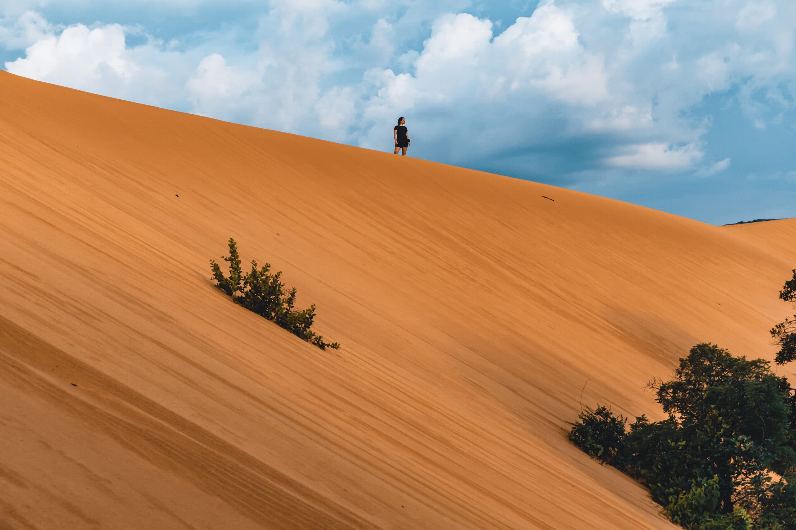 Dunas do Jalapão: Um Espetáculo de Areias Douradas