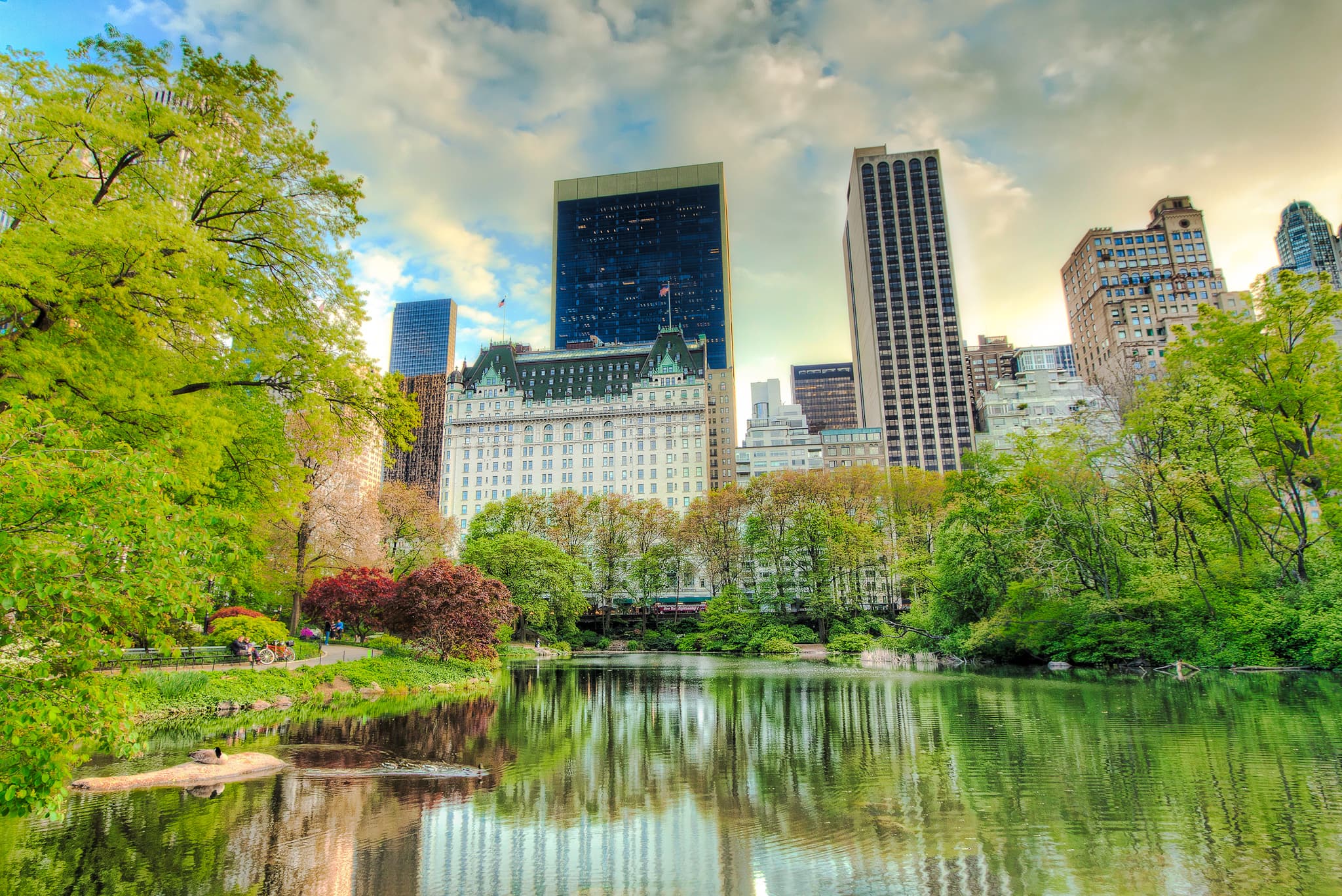 Central Park: New York City's Urban Oasis