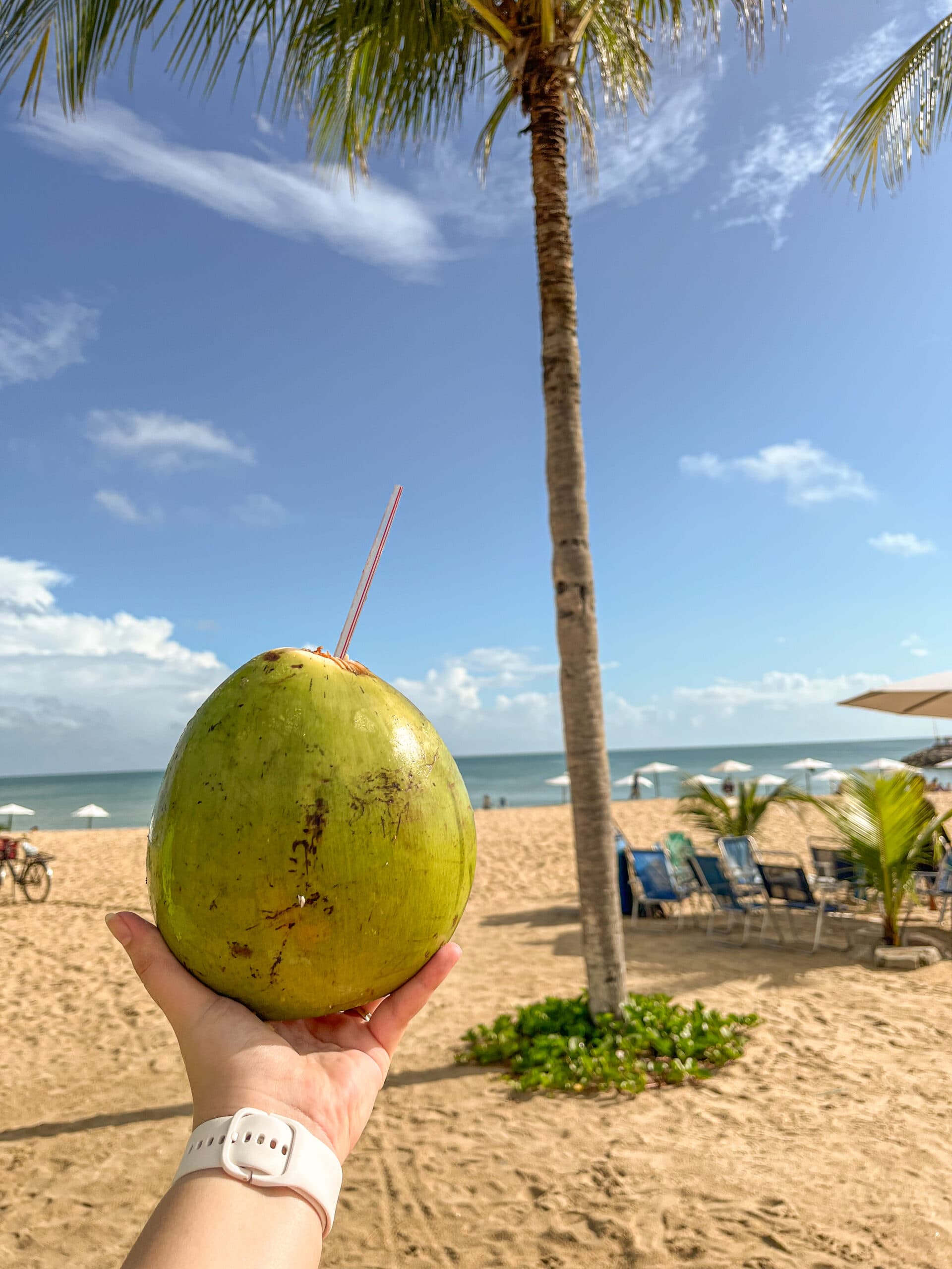 Mão segurando um coco na praia