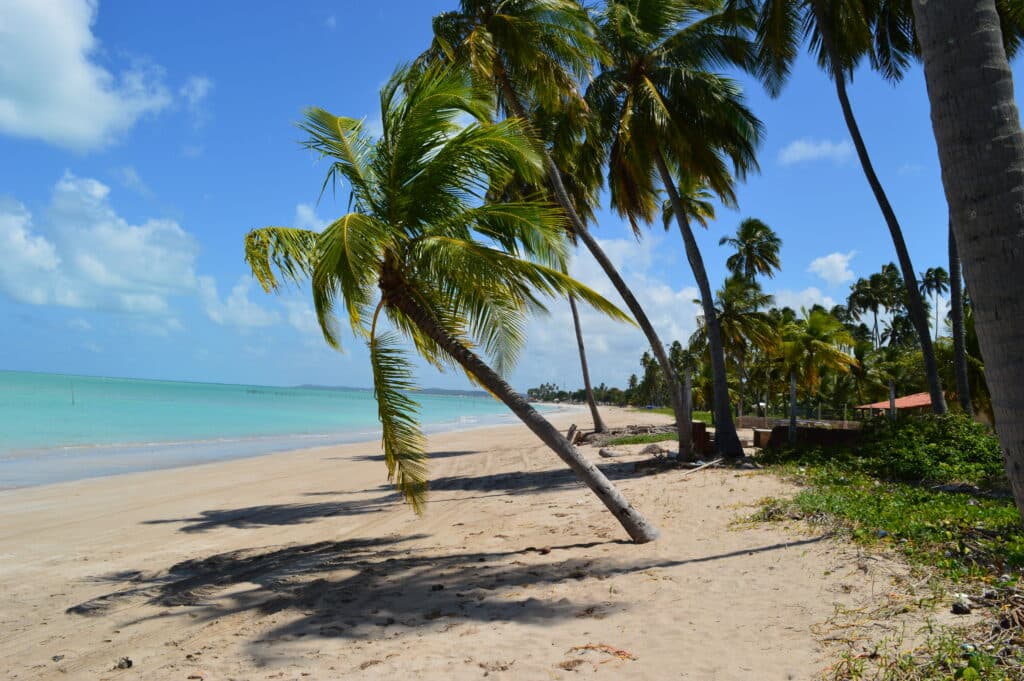De Maceió a São Miguel dos Milagres: Descubra as melhores praias de Alagoas