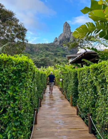 Hoemem caminhando por uma paçarela de madeira em um parque em Fernando de Noronha, em Pernambuco